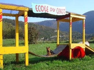 ecole_du_chiot_01