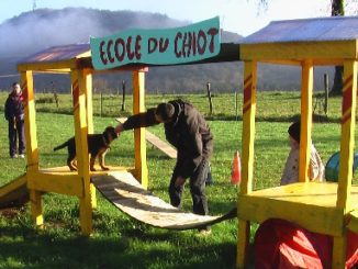 ecole_du_chiot_03