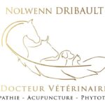 NOLWENN